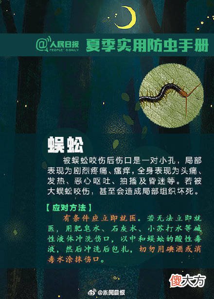 【时尚一点】转发扩散！夏天该如何防虫？