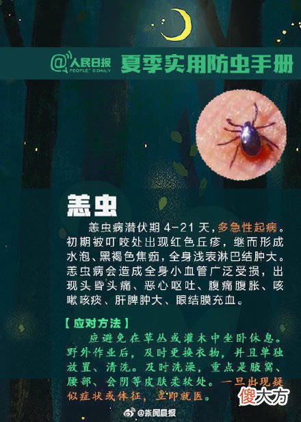 【时尚一点】转发扩散！夏天该如何防虫？