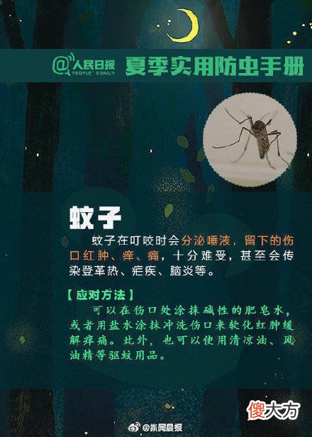 【时尚一点】转发扩散！夏天该如何防虫？