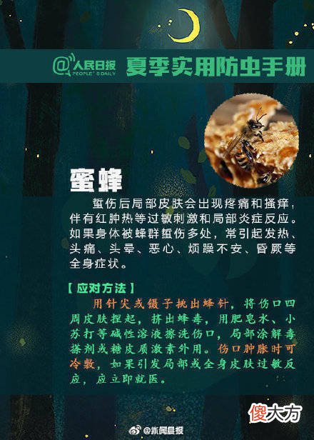 【时尚一点】转发扩散！夏天该如何防虫？