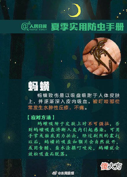 【时尚一点】转发扩散！夏天该如何防虫？