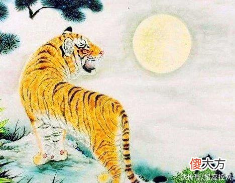 【星座控】2022年四喜临门，福禄满屋，四生肖下半年全时空好运，不缺钱