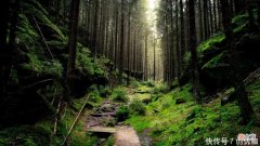 【星座控】城府极深的3个生肖，8月，招财纳福，脚踩聚宝盆，翻身成为有钱人