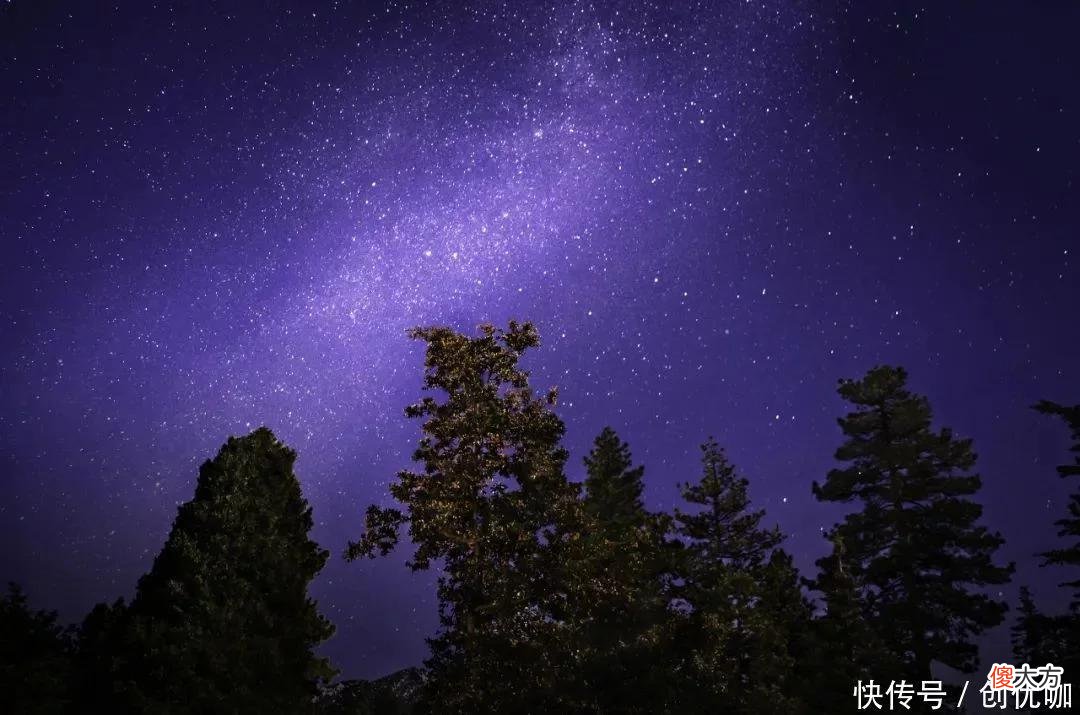 【十二星座】不可战胜的3个生肖，8月，异性缘上涨，桃花朵朵开，喜迎浪漫情缘