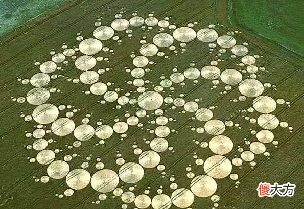 已被破解的未解之谜：神秘的麦田怪圈其实是这样出现的