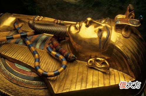 一种天然形成的木乃伊,曾是地球上体型最大的陆地生物,万年不腐