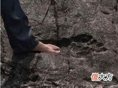 南极现巨大脚印，科学家发现远古巨人居所，推断巨人们已离开地球