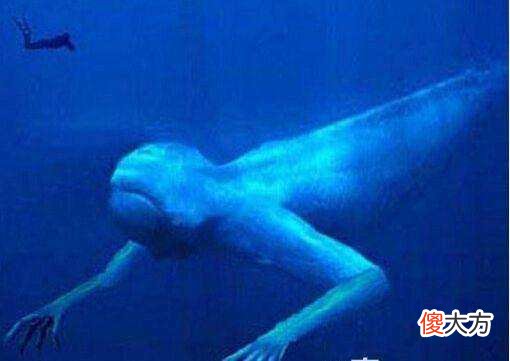 南极现巨大脚印，科学家发现远古巨人居所，推断巨人们已离开地球