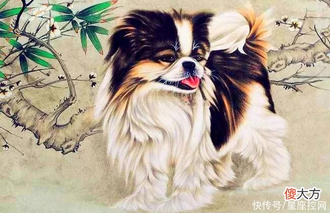 【十二星座】七月福未了，八月更顺利的四大生肖，钱包日渐发胖，喜笑颜开