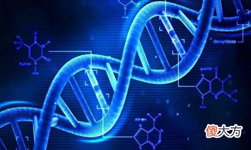 地球是外星人的生物实验室？范艾伦辐射带的存在，可能是关键证据