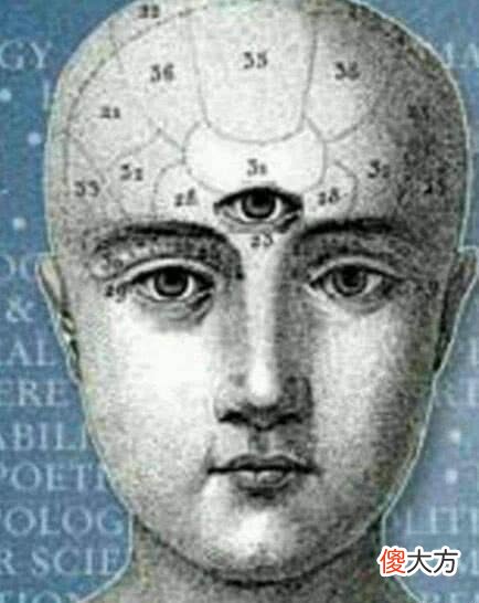 史前文明有3只眼睛？生活在3亿年前，人类不是地球第一代文明