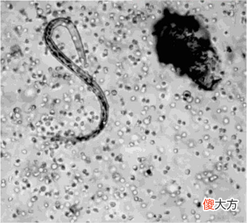 地球骇人真相：停转42秒就是世界末日