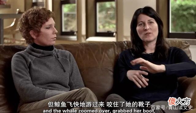 2010年，美国海洋馆32岁虎鲸突然暴起伤人，调查后原因令人心酸