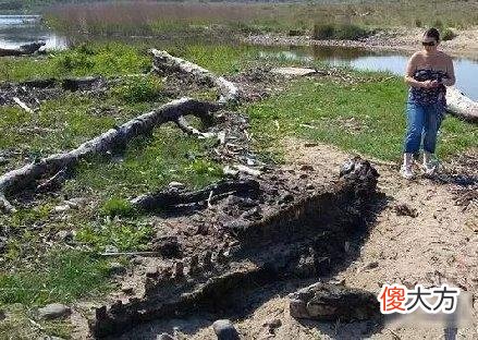 女子在沙滩发现奇怪生物，体型巨大，根本没人能确定是何种生物