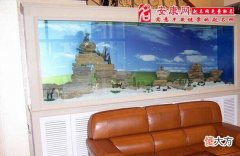 办公室风水鱼怎么养(图文)