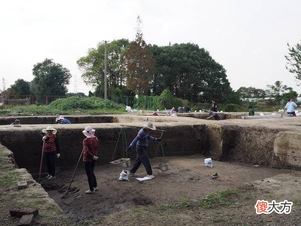 【历史故事】崧泽遗址：上海最早进行大型科学考古发掘的古文化遗址