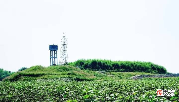 【历史故事】崧泽遗址：上海最早进行大型科学考古发掘的古文化遗址