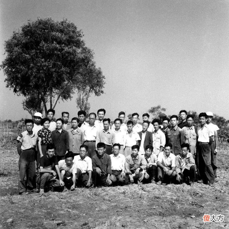 【历史故事】崧泽遗址：上海最早进行大型科学考古发掘的古文化遗址