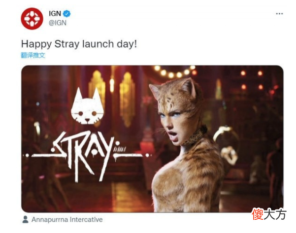 【游戏世界】全球刷屏、逆袭翻盘！当穷得只剩下猫，他们把猫做成了一款改变命运的游戏