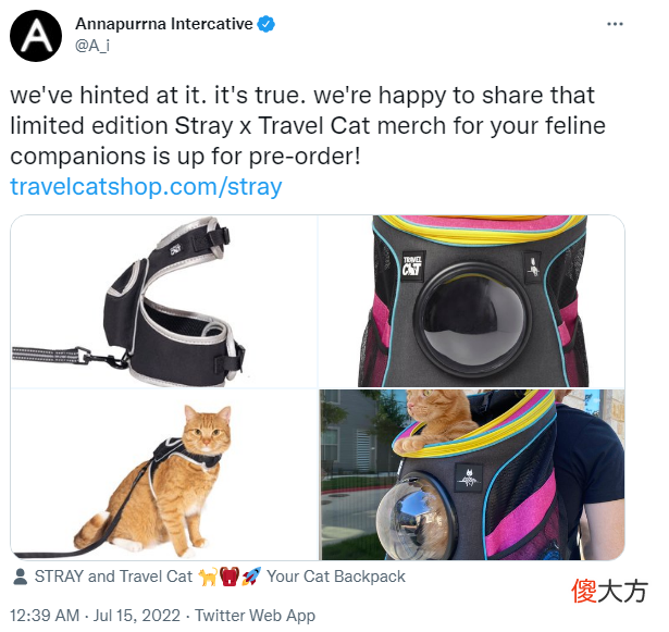 【游戏世界】全球刷屏、逆袭翻盘！当穷得只剩下猫，他们把猫做成了一款改变命运的游戏