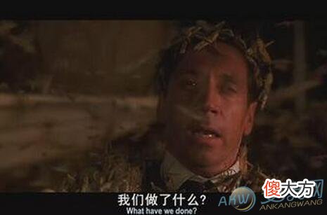 梦见虫子钻进肉里(图文)