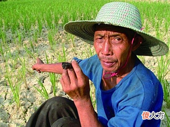 【爱历史】老一代农民当年那么勤劳，为什么生活还会那么困难，原来是这样啊