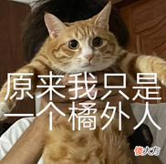 【游戏迷】《梦幻新诛仙》鬼先生故事大揭秘梦诛对立阵营的闺蜜该何去何从