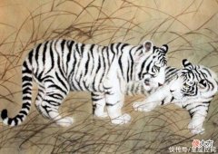 【星座控】此生多有贵人相助，从找工作到找对象都一帆风顺的生肖