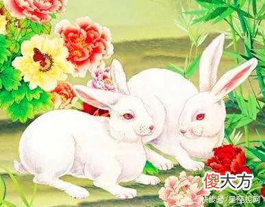 【星座控】此生多有贵人相助，从找工作到找对象都一帆风顺的生肖