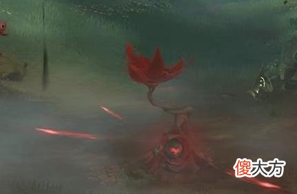 【游戏迷】《原神》三神必抽？须弥不欢迎三神？