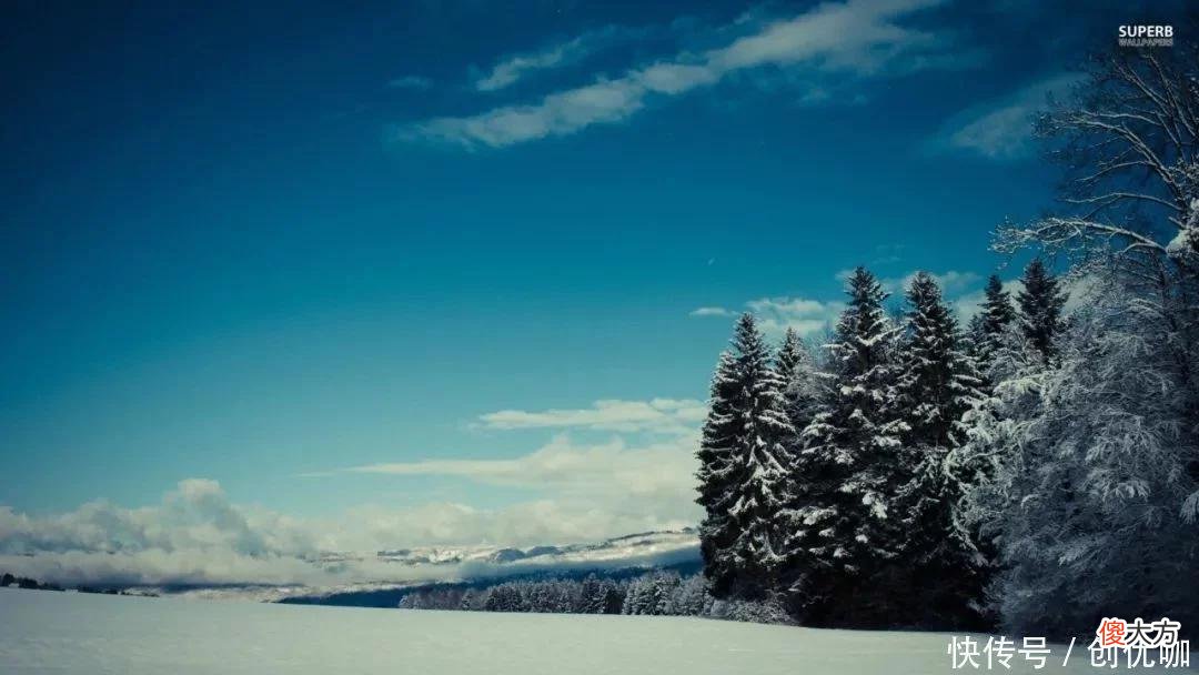 【星座控】不轻易被骗的3生肖，8月，好运来，接财神迎富贵，添财添喜添平安