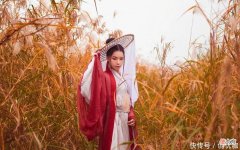 【星座控】不轻易迷失的3生肖，下半年，神来气旺，越努力越幸运，得财得福