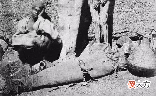 世界中最奇葩新闻，网友差点以为是假的，你听说过吗