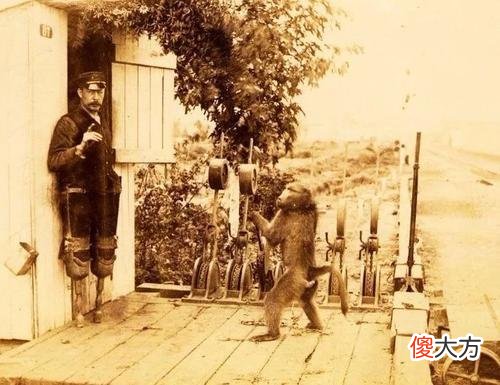 世界中最奇葩新闻，网友差点以为是假的，你听说过吗