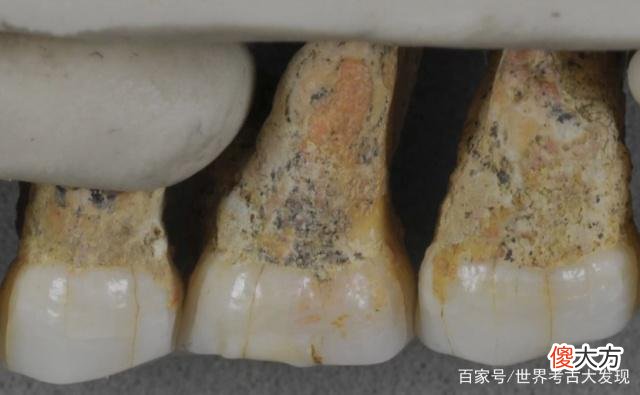 菲律宾发现身高一米的“小矮人”化石，竟与中国的早期人类有关