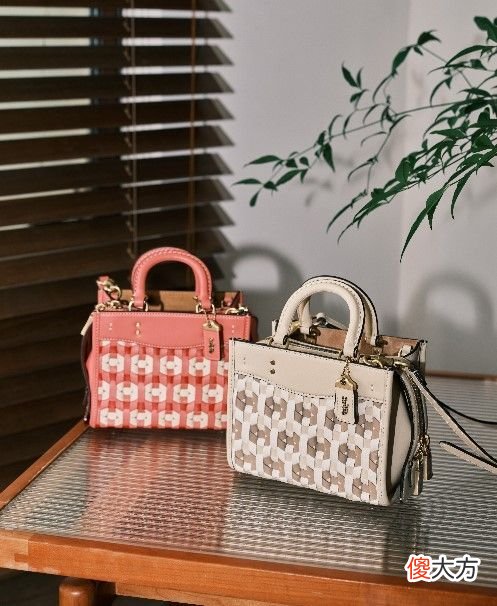 【就爱时尚】Coach发布2022七夕系列广告大片