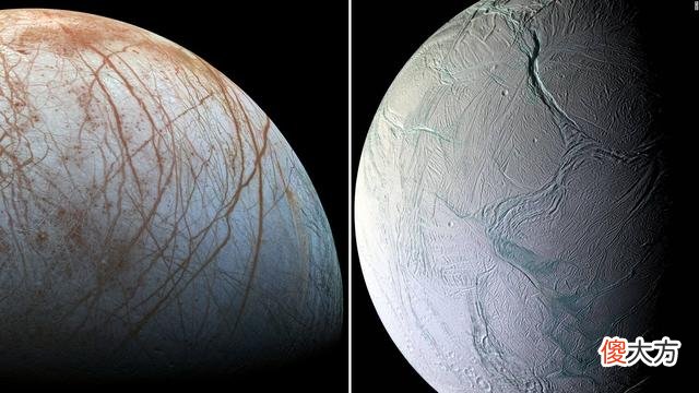 南极冰盖下有什么?俄罗斯钻探20年,于4千米处找到“异星世界”