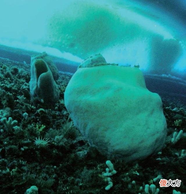 南极冰盖下有啥？俄罗斯钻探20年，4千米处发现“异星世界”