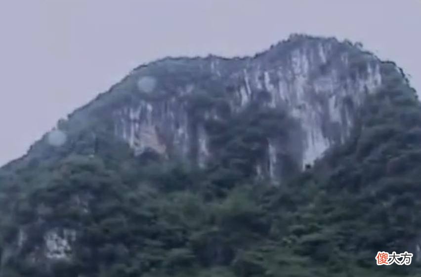 故事贵州山谷突传诡异叫声,喊打喊杀犹如两军交战,专家查明真相