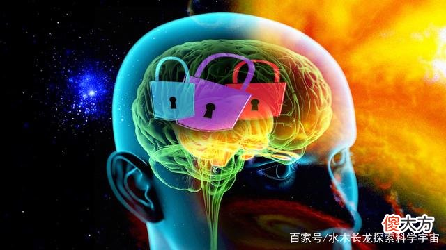 科学家无法解释的现象：为什么人的大脑缺失一大块仍能正常生活？
