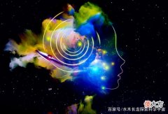 科学家无法解释的现象：为什么人的大脑缺失一大块仍能正常生活？