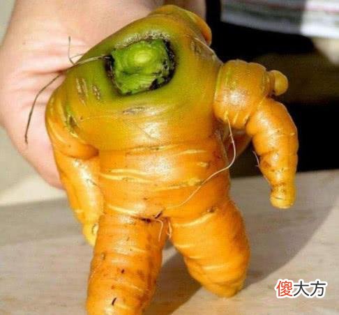 这些蔬菜水果都成精了，长相奇特，看到苹果不敢下嘴！
