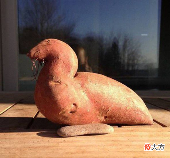 这些蔬菜水果都成精了，长相奇特，看到苹果不敢下嘴！