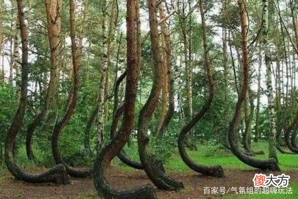 世界上几大真实神秘现象，成因至今是个谜，这些你都听说过吗？