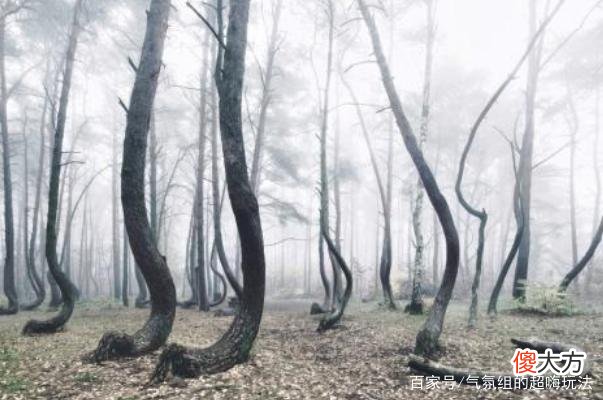 世界上几大真实神秘现象，成因至今是个谜，这些你都听说过吗？
