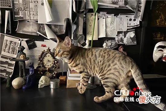 【就爱时尚】游走中意——新锐服装设计师李善兰的黑色表达
