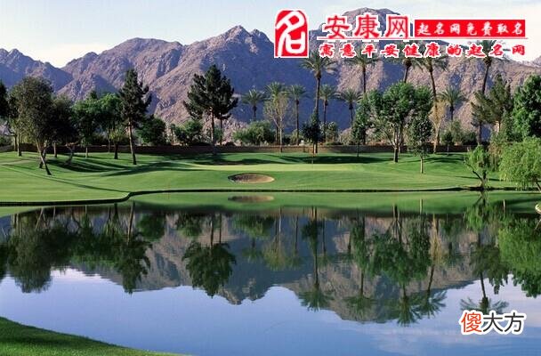 梦见蛇进肚子意味什么(图文)