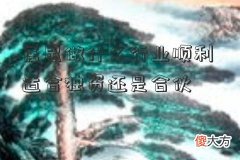 属鼠做什么行业顺利 适合独资还是合伙