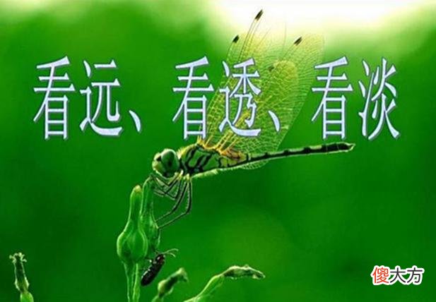 【爱历史】云昊晒许敏工作照，要收恭王府做和珅？网友：伤害不大，讽刺性强
