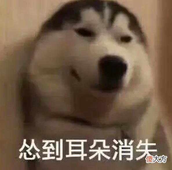 【游戏世界】《吞食天地2诸葛孔明传》原作的血条设定是怎样的？